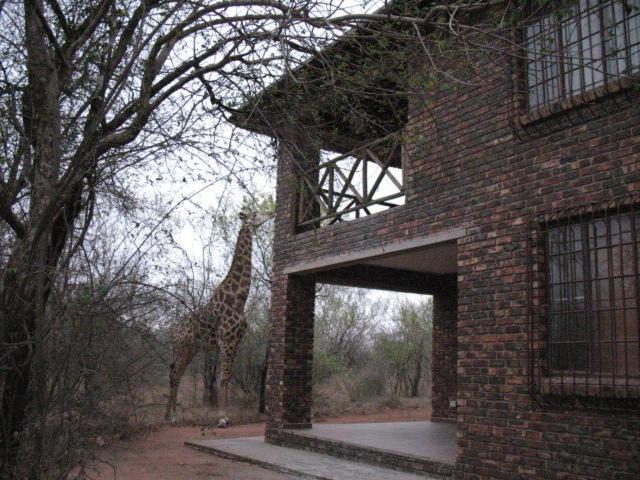 Crowe'S Nest Villa Marloth Park Exterior foto
